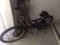 自行车便宜卖
