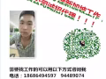 专业办理新加坡！文员 普工 销售 会计 设计师 详询微信3194779534