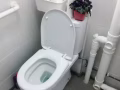 实龙岗主人房出租