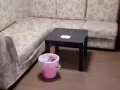淡宾尼床位出租