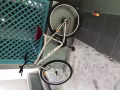 车己卖完