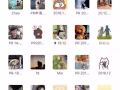 PR pending 建个群