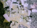 新鲜母乳皂