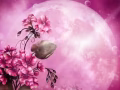 【四号勾桶司机 WP】  3000++微信：xhzy456123