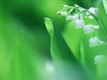 美甲师兼美睫师   3500++微信：xhzy456123