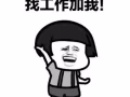 WP 学徒学徒    咨询微信：a15963006865