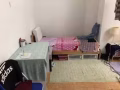 多美歌 sophia RD 两人间找室友