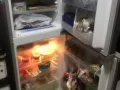 上下铺回收➕出售 双人床 单人床，衣柜，洗衣机冰箱 。
