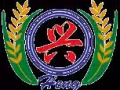 招聘office打单文员，中介勿扰