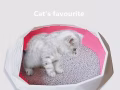 猫砂 猫砂 5包免费送货啦~