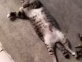 一个人