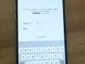 ???中国人收 :苹果手机 ID机 解ID 看完以下说明在加好友