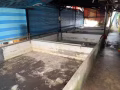 *4个鱼池急找人铺砖*