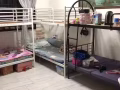 先驱大牌714复式楼房，主人房招女搭房，楼下有超市食阁，搭巴士很方便。