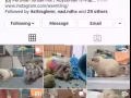 追蹤個人IG FB
