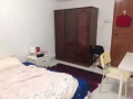 巴西立大牌562