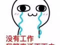 WP 清洁工    咨询微信：a15963006865