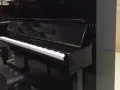 ASAHI二手钢琴，型号U1，黑色，高度1.21m，日本制造，电话9871525