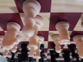 一对一教国际象棋