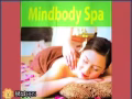 [专业] 推拿保健SPA