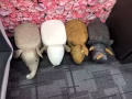 储蓄柜小凳子特价。