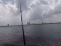 鱼竿 转让