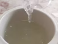 燕窝批发