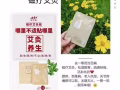 九洲福磁疗艾灸贴