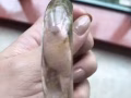 稀有，珍藏，发财发金水晶手环