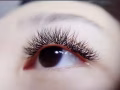 嫁接睫毛28