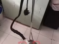 要回国了，闲置的东西有卖有送