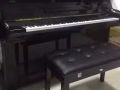Rubinstein钢琴，欧洲品牌，声音柔和，电话98715256