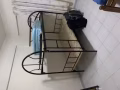 招男房客