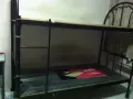 有多套上下床架卖价钱可以商量。电话:90751746