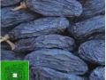 Organic raisins 有机葡萄干