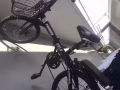 鳳凰牌20寸黑色單車100。