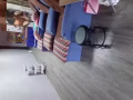 3号按摩店转让