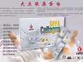 大豆膠原蛋白