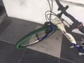忍痛割爱新更换前后内外胎和后轮的新加坡品牌自行车！