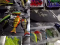 路亚装备
