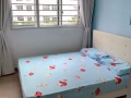 新房新家具