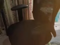 办公椅