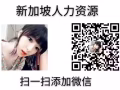 SP-女包包销售