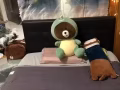 招男租客