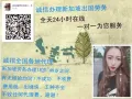 固定女清洁工