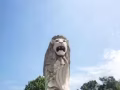 三号驾照司机找工作