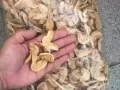 干烤麸，干面筋，干香菇，干海带结，豆皮，红著粉条，批发
