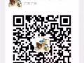 廣州駿源國際貨運 中國至新加坡（海/空運）直航專線 一手價格 歡迎諮詢洽談