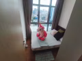 紫线花拉公园 地铁站，高级大公寓 ,拎包入住！！！