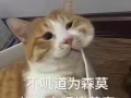 日韩代购